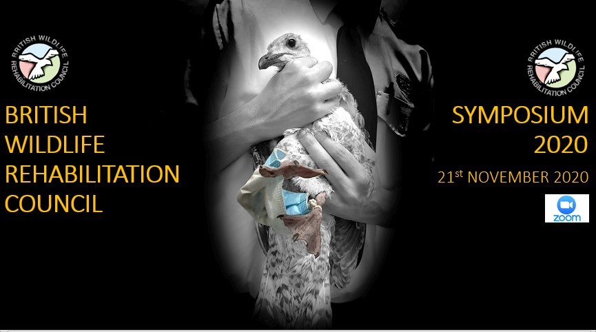 Join us at the online BWRC Symposium 21.11.20! Tickets available £20-£40 at eventbrite.co.uk/e/bwrc-symposi…. Full programme to be confirmed!