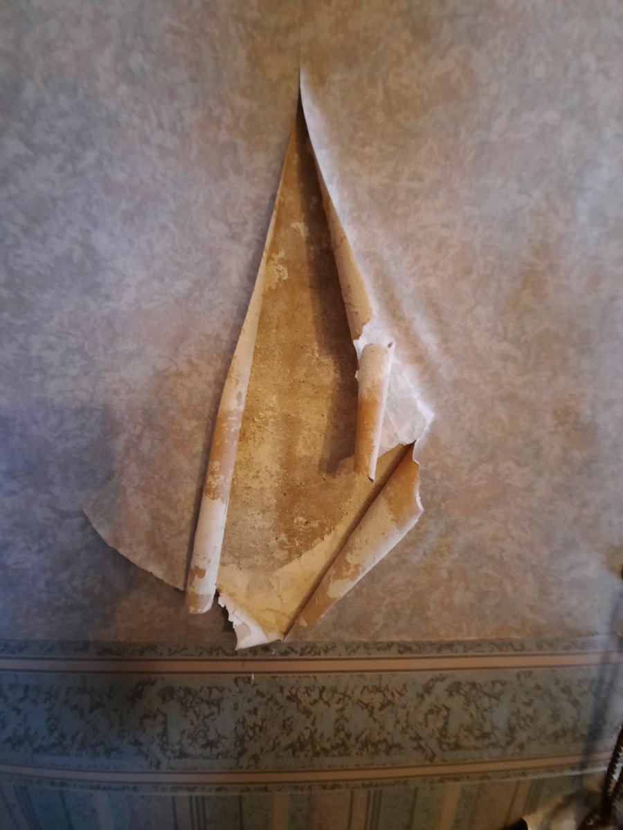 ElvetProperty's tweet photo. *Diagnose the defect*
Here is an image of some damaged wall finishes and visible efflorescence corresponding with high moisture readings.
What do you think the cause of this is?
Put your guesses below!

#defectdiagnosis #propertymaintenance #lovesurveying https://t.co/56rKTIMYyN
