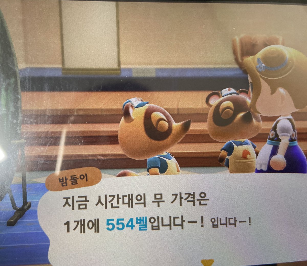 모동숲 #무트코인 #무주식 무파트너 구합니다