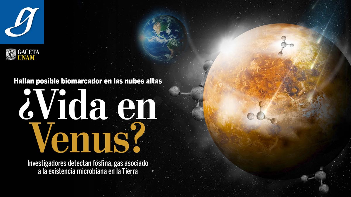 El nuevo número de tu <a href="/Gaceta_UNAM/">Gaceta UNAM</a> ya está en línea. ¡Consúltalo! > bit.ly/1FvRehh