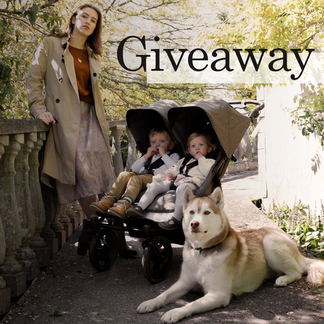 DearBornBaby tweet media