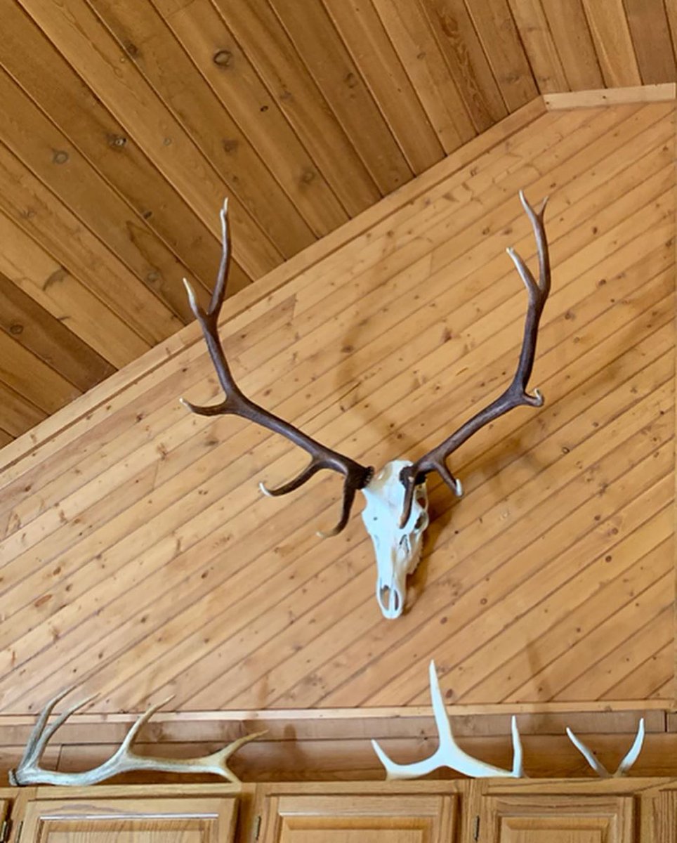 Sara Hunting Lover tweet media