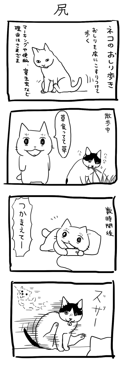 猫のうんこが苦手な方は閲覧注意です 