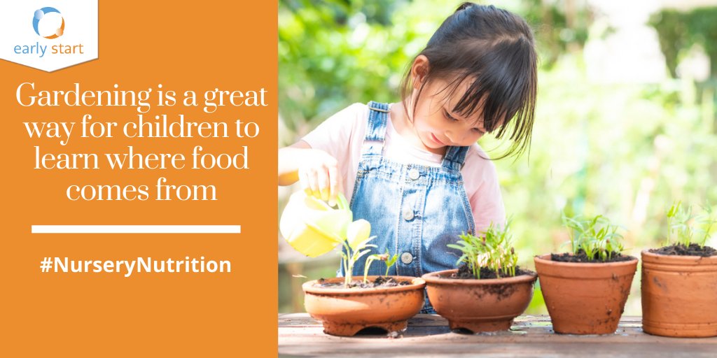 Gardening is a fun way for children to learn about food in #earlyyears setting & at home 👨‍🌾Help children to grow & care for a plant. They can get involved by planting the seeds, watering & watching the plants grow Check out our gardening #activitycards ⤵️ bit.ly/2RAuVnL