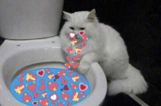 ย้ายแอคแล้วนะคั้บ🥺 | ใครฟอลอยู่อันได้เลยนะค้าบ tweet media