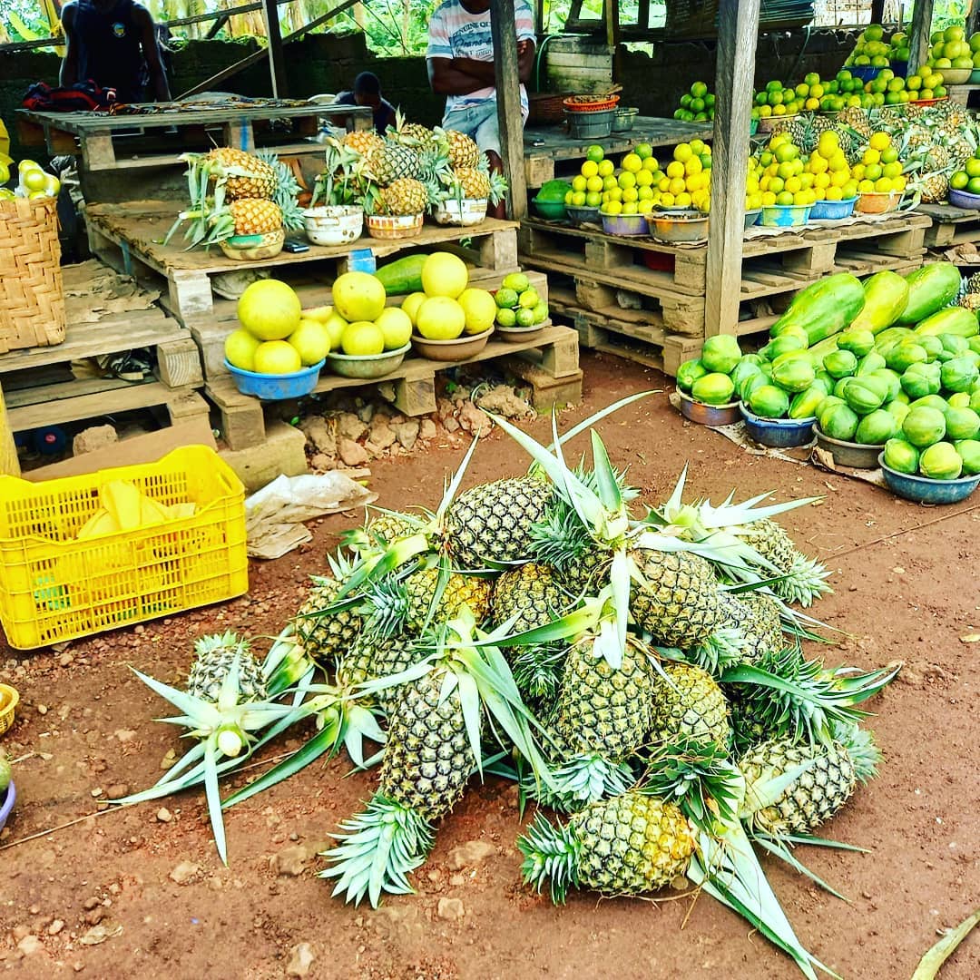 Pineapple please !
📍 Njombe-Penja,Cameroon 🇨🇲 
📸 raissastella.o (insta) 
#visiterlafrique #cameroon #travel #africa