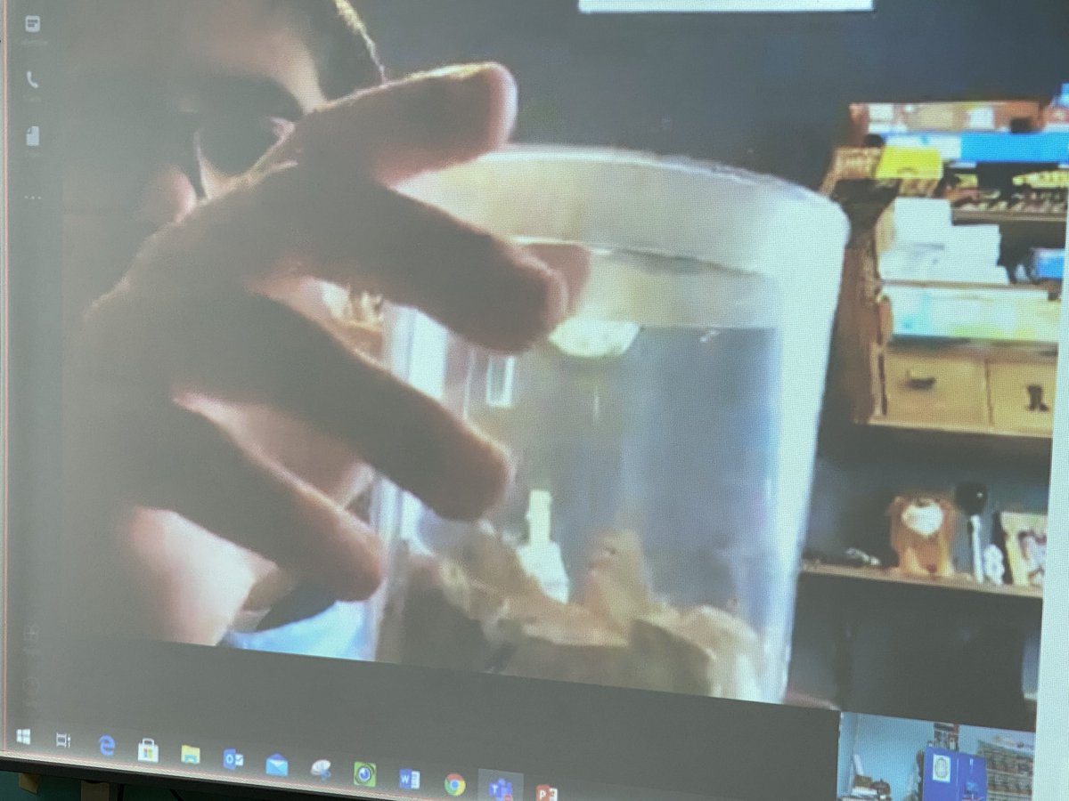 Grade 4 | CAS Dubai tweet media