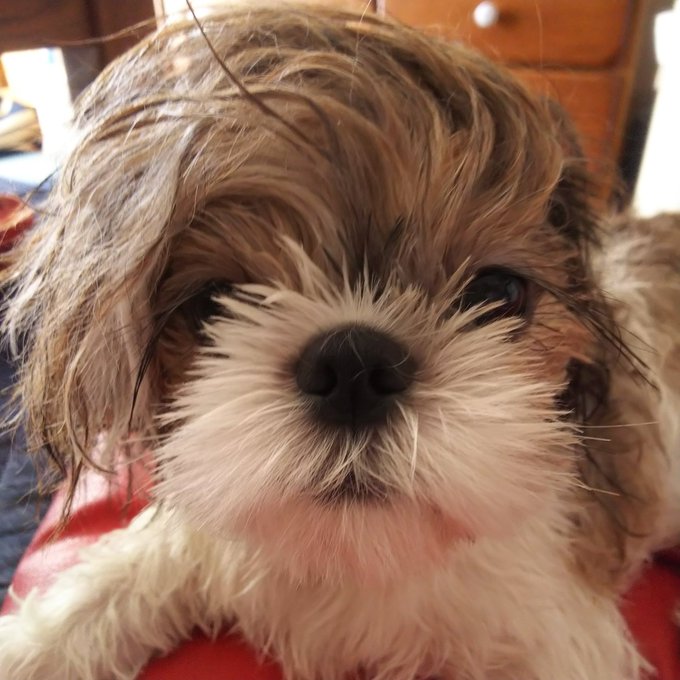 Ikkoのtwitterイラスト検索結果 Ikkoのtwitterイラスト検索結果