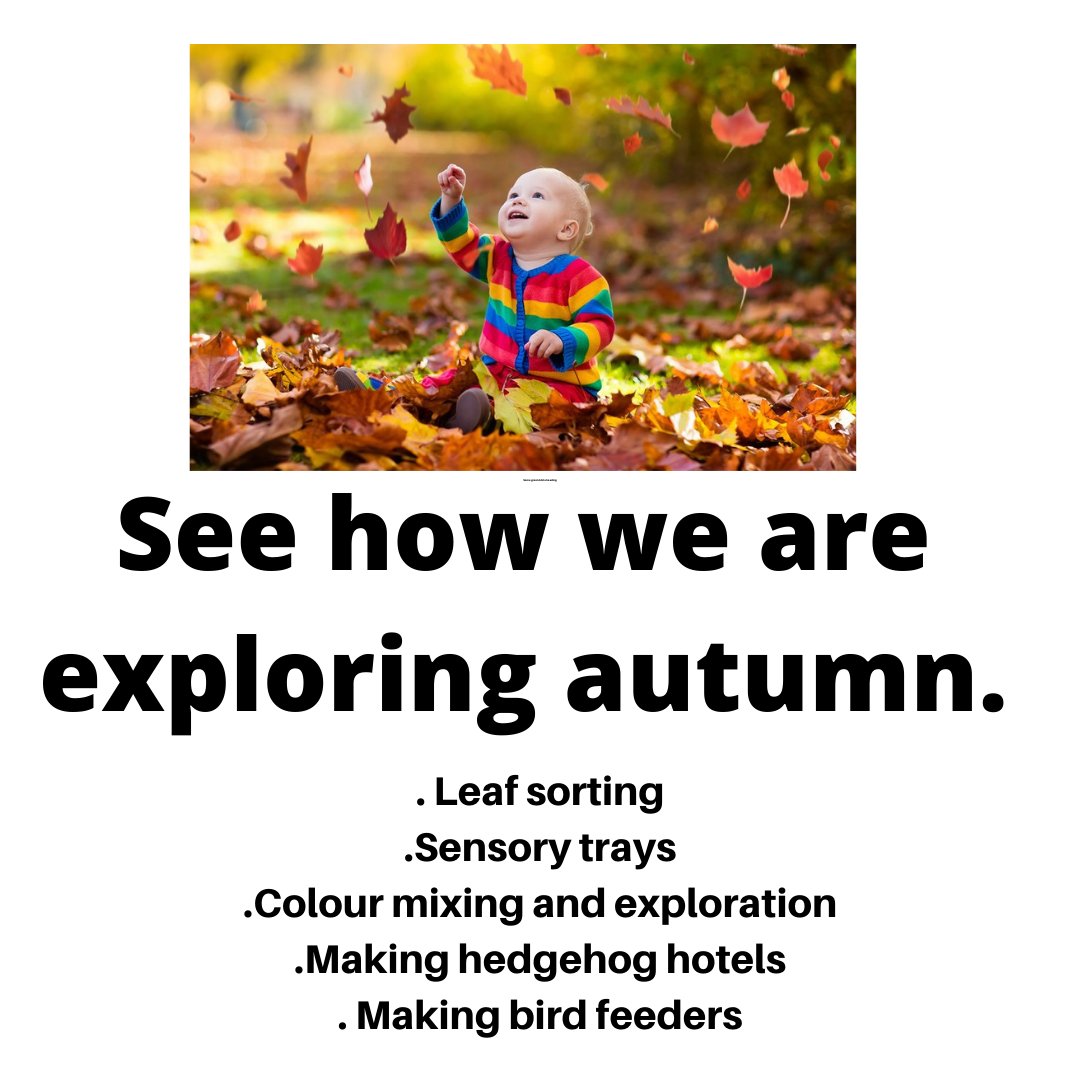 SpringBraintree's tweet photo. #outdoorfun@#springseesaw
We love to explore the outdoors and are looking forward to lots of autumn based activities https://t.co/Mwc1tUBQZ8