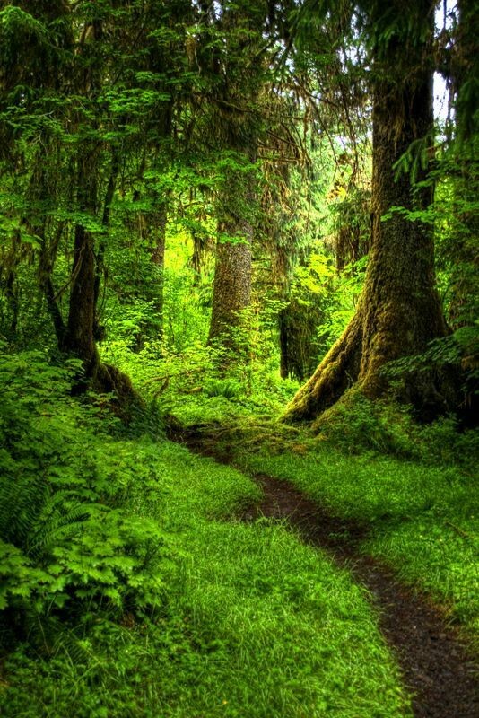 GermanJoseLope2's tweet photo. "Ningún idioma humano podrá describir la alegría que descubrirás en el silencio, detrás de los portales de tú mente. Pero tienes que convertirte; tienes que meditar y crear este ambiente"
~ Paramahansa Yogananda. https://t.co/6ORyci6LRs
