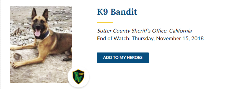 Poor Bandit, killed while attempting to apprehend a murder suspec- wait. He was accidentally shot by the cops while they were trying to shoot the suspect.And then the cops shot the guy's dog as well for good measure