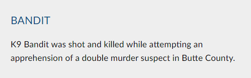 Poor Bandit, killed while attempting to apprehend a murder suspec- wait. He was accidentally shot by the cops while they were trying to shoot the suspect.And then the cops shot the guy's dog as well for good measure