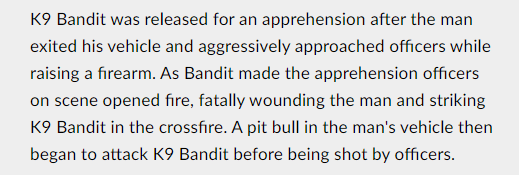 Poor Bandit, killed while attempting to apprehend a murder suspec- wait. He was accidentally shot by the cops while they were trying to shoot the suspect.And then the cops shot the guy's dog as well for good measure
