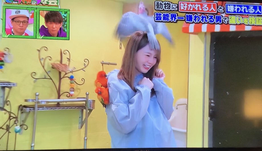 R どうぶつな会に動物に好かれる人として出演させていただきました たくさんの動物たちと触れ合えて幸せすぎる一日でした どうぶつな会 T Co Yqxiqgs1dx Twitter