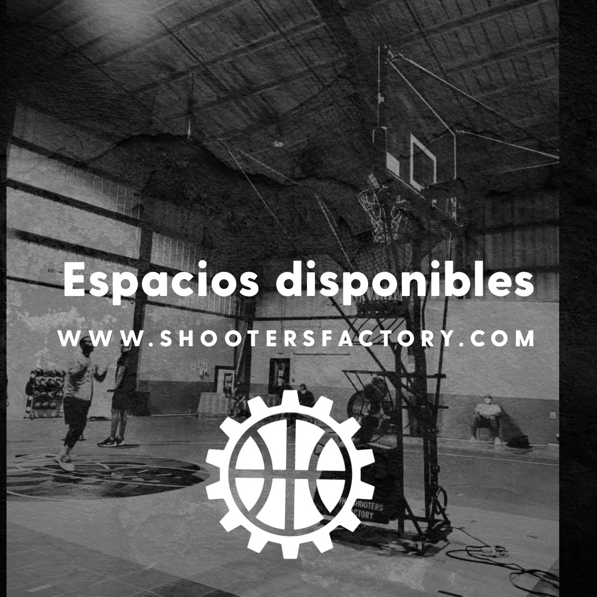 lafactorybball's tweet photo. ‼️ESPACIOS DISPONIBLES‼️
Via website (https://t.co/wiltGiD7jy) o via app (https://t.co/bFnoX8ecvj)
#getyourshottogether #getyourshotsup #getyourgametogether #shootersfactory #puertorico https://t.co/F6ZY7JljrV