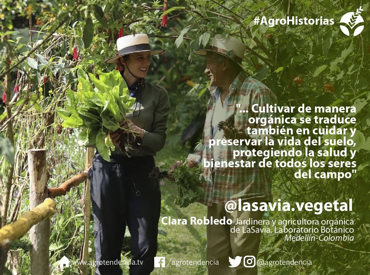 agrotendencia's tweet photo. Te invitamos a conocer mucho más de Clara Robledo y LaSavia @lasavia.vegetal, las protagonistas de la agrohistoria de la semana.
#Agrotendencia #Colombia #AgroHistoria #LaSavia #LasMaticas #jardineria #huertaorganica #AgroEc #lasavialaboratoriobotanico
https://t.co/FFqRmwRiG0