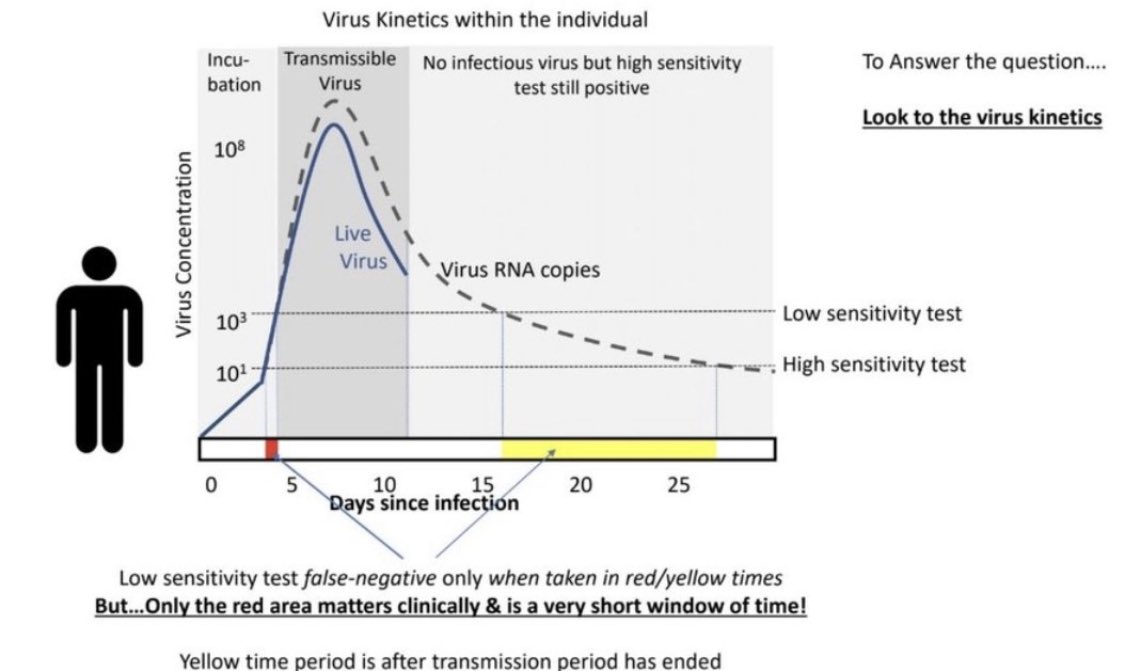 Understand COVID Timeline

Person gets:

Exposed on day 0
Test +ve day 3-4
Symptoms start day 5
Contagious from day 4-12
Test remains + for weeks but patient NOT contagious after 10-14 d

No benefit in repeat testing (will likely remain + and freak you out:)

Excellent graphic ⬇️