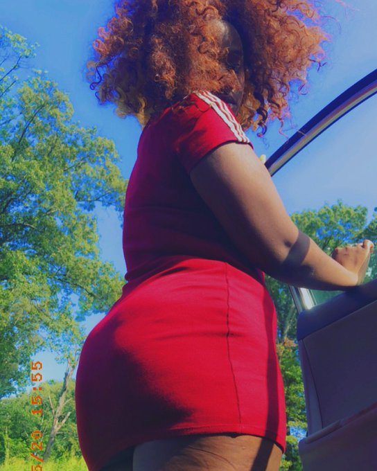 Meet the worlds newest dancer\entertainer Dixie 🤑🥵 https://t.co/8icSCUHWsP<a href="/tag/retweeet"class="tags"><span>#retweeet</span></a>