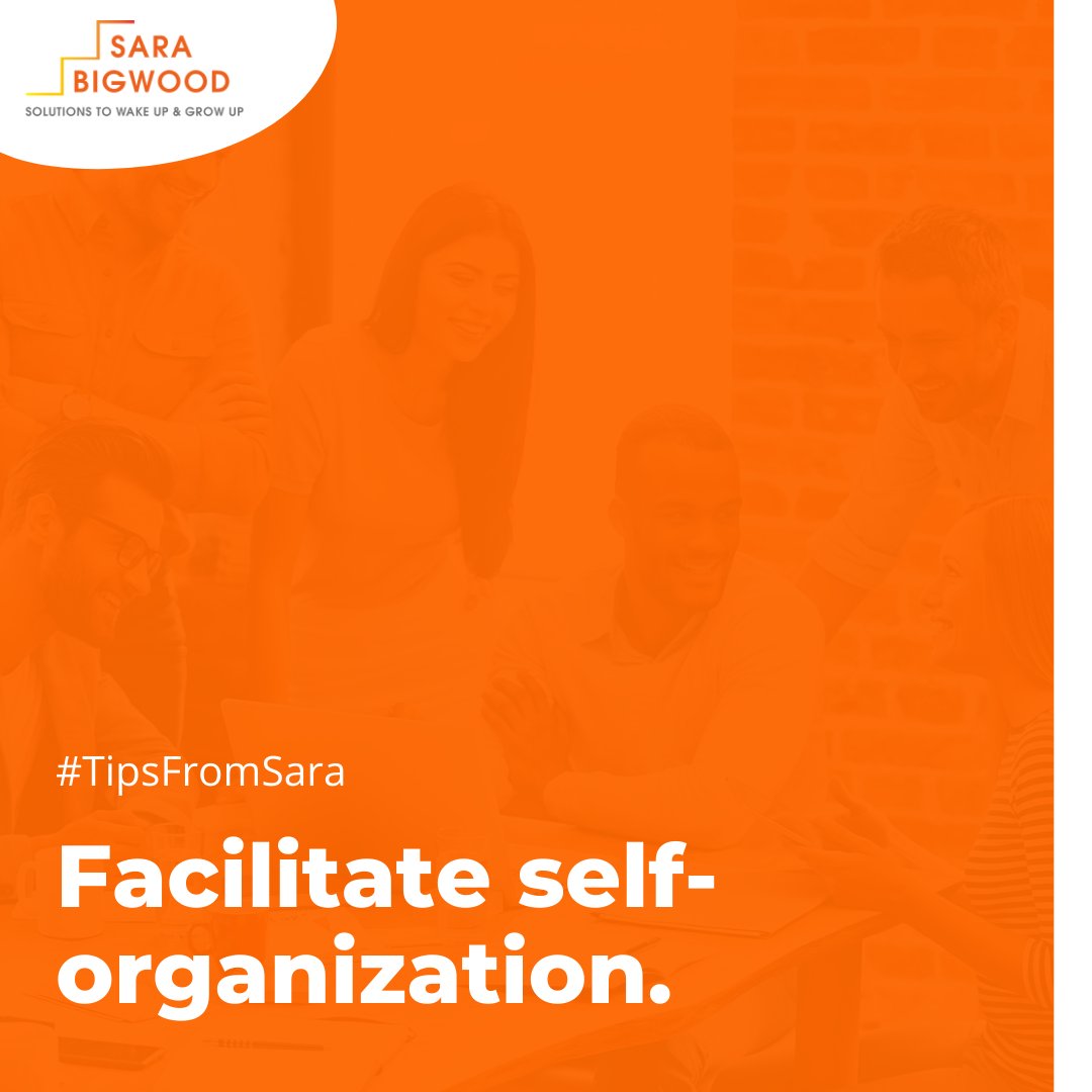 🤝 An agile leader leads a team of self-organized people. S/he is not driving, nor in the back seat, but outside building roads for the team. 

#leader #leadership #quotes #leadershipagility #empowerteams #agileleaders #leadershiptips #team