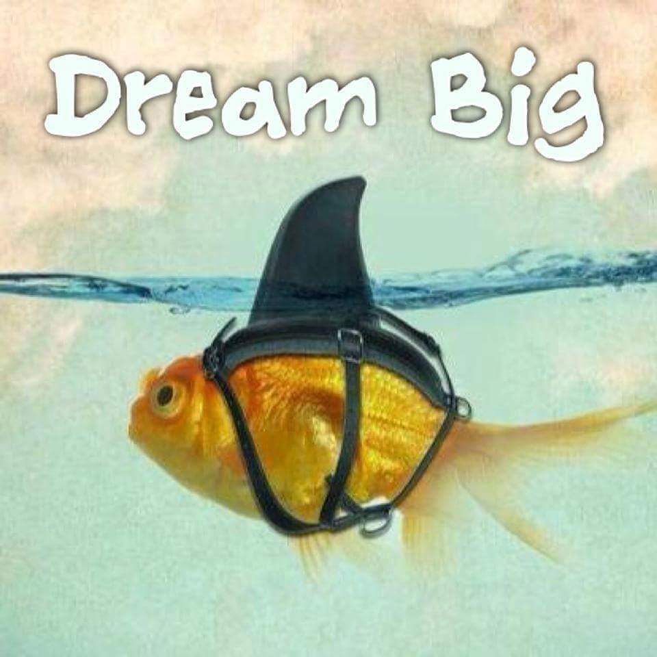 CreativeSoulCom's tweet photo. We love supporting the dreamers and go-getters! We have a communications plan just for you to help fulfill your business goals. #communications #marketing #branding #content #socialmedia #blogs #database #goals https://t.co/oLBspmLaoV