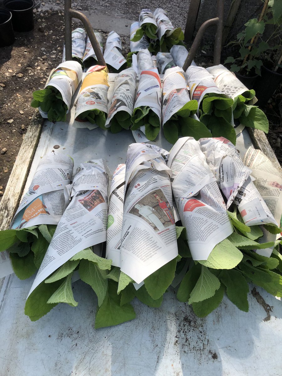 Botanic Nursery tweet media