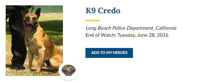 This one implies Credo was killed while trying to stop a shooter, even listing the 'offender' as shot and killed, as if he did it.In the description it turns out the cops shot the dog accidentally while trying to shoot the guy