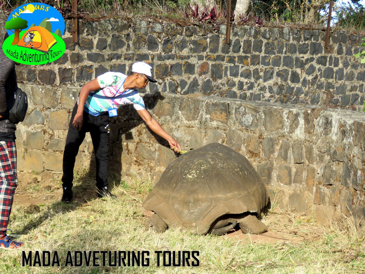 MatoursT's tweet image. MADA ADVENTURING TOURS
"Wandering with MATOURS is always beautiful"
montagne d'Ambre😍🥰👌✌️
ma-tours.com