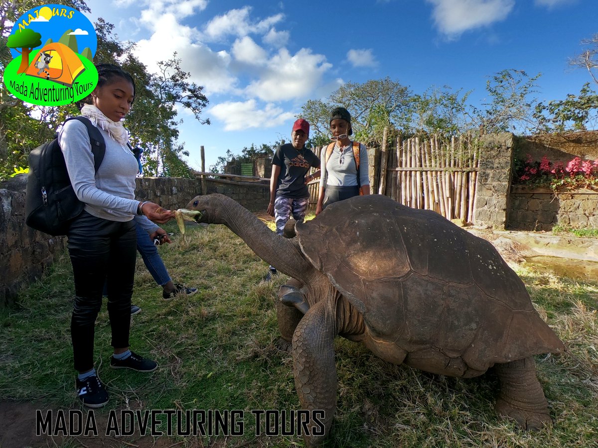 MatoursT's tweet image. MADA ADVENTURING TOURS
"Wandering with MATOURS is always beautiful"
montagne d'Ambre😍🥰👌✌️
ma-tours.com