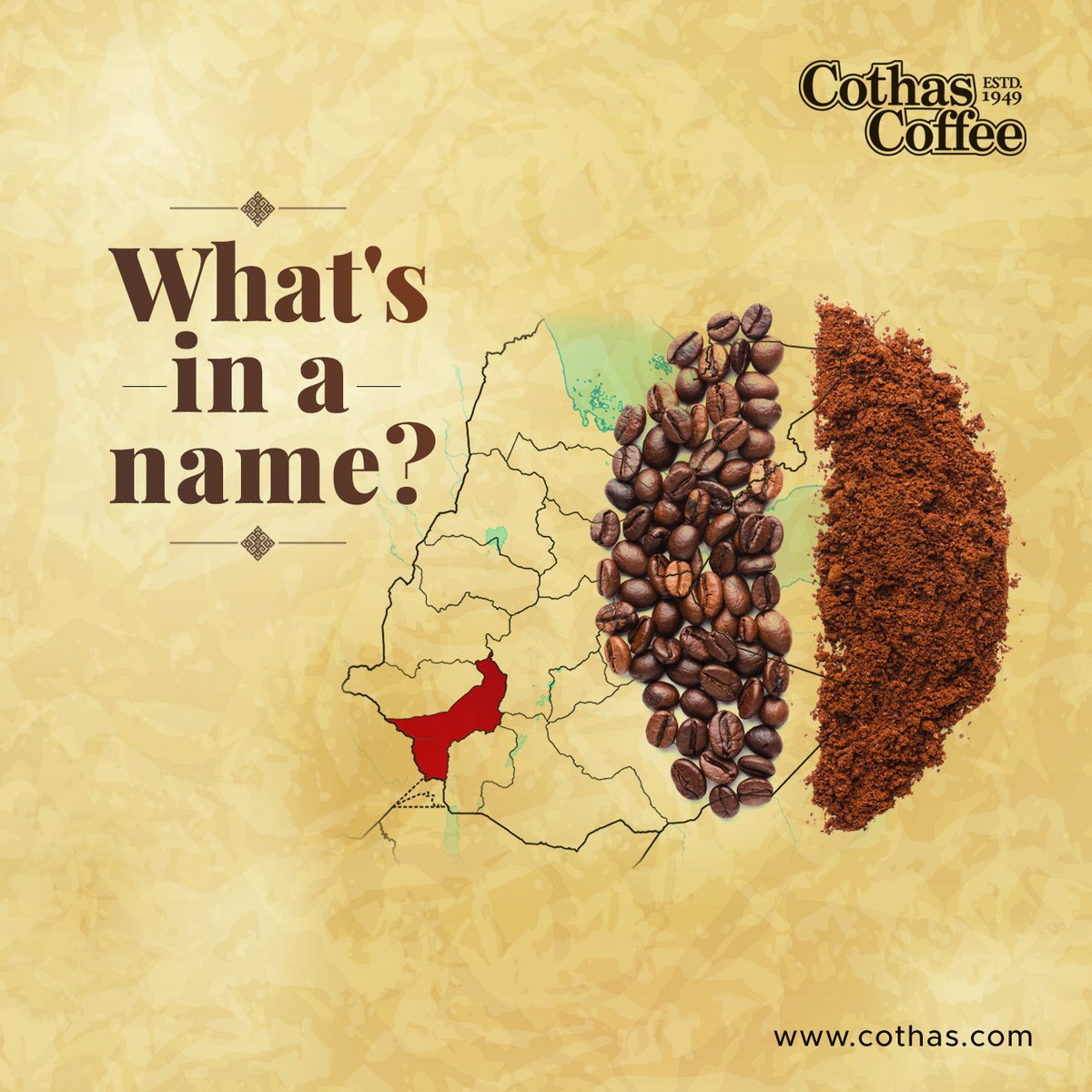 CoffeeCothas's tweet photo. Did You Know? The word 'coffee' comes from the Ethiopian town Kaffa to which the earliest origins of coffee can be traced.
#Cothas #CothasCoffee #RealTasteOfCoffee #SouthIndianCoffee #TraditionalFilterCoffee #AromaticCoffee #DidYouKnow #CoffeeAddict #OnceCothasAlwaysCothas https://t.co/2ukA24PJWi