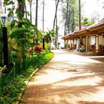 Photo by GoldenSwanBeachResort (@GSBeachResort)