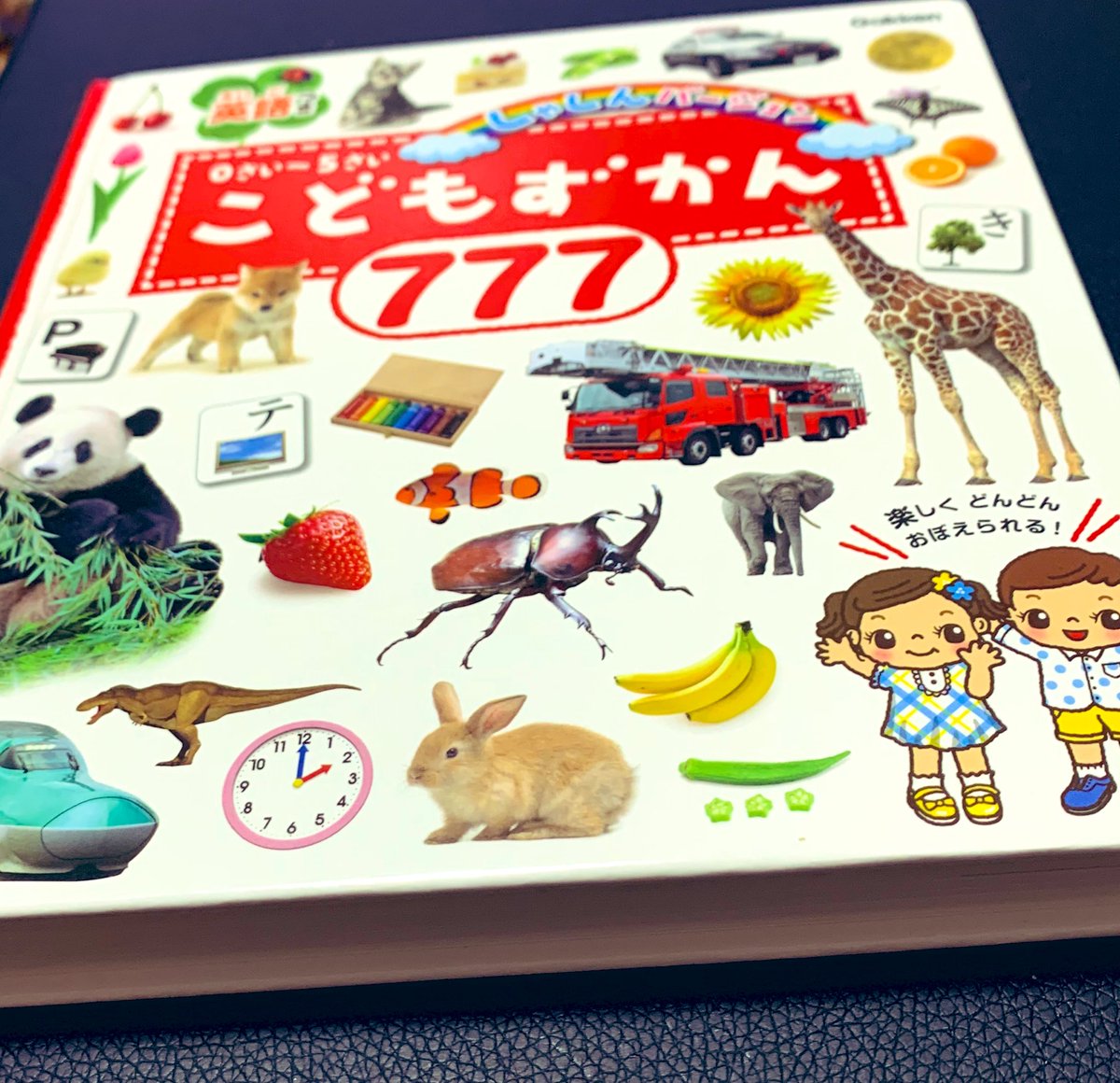 ポコ A Twitter お豆腐が息子君に図鑑を買ってきたの 少しでも言葉を覚えられるように おかげで知ってる言葉は増えてきたの あとはそれを口に出すだけなの 2歳男の子 図鑑 こどものずかん 育児漫画 ブログ漫画 アラフォー男子 ポコ A Twitter お豆腐が息子君に図鑑を買ってきたの 少しでも言葉を覚えられるように おかげで知ってる言葉は増えてきたの あとはそれを口に出すだけなの 2歳男の子 図鑑 こどものずかん 育児漫画 ブログ漫画 アラフォー男子
