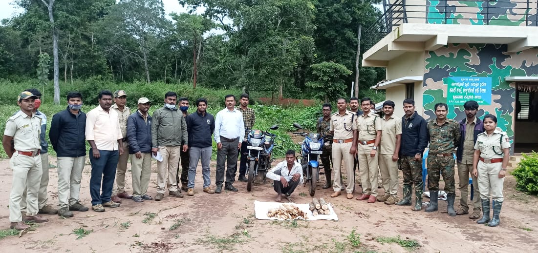 One person arrested involved in #Sandalwood smuggling. 
2 bikes seized used for transportation. 
Search is on to nab the absconders. 
 #Nagarahole Tiger Reserve (Hunsur WL Range)
<a href="/aranya_kfd/">Karnataka Forest Department</a> <a href="/ntca_india/">National Tiger Conservation Authority</a> <a href="/AnandSinghBS/">Anand Singh</a> @MysoorunewsC 
<a href="/Star_Of_Mysore/">Star Of Mysore</a> <a href="/wildmysuru/">Wild Mysuru</a>