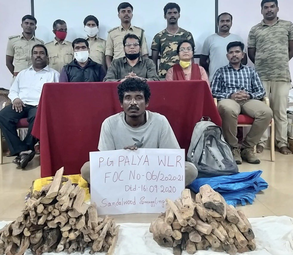 Arrested major sandalwood smuggling kingpin who is operating in MM Hills Wildlife Sanctuary and BRT area ⁦<a href="/aranya_kfd/">Karnataka Forest Department</a>⁩ ⁦<a href="/moefcc/">MoEF&CC</a>⁩ ⁦<a href="/ntca_india/">National Tiger Conservation Authority</a>⁩ ⁦<a href="/CentralIfs/">IFS Association</a>⁩ ⁦<a href="/susantananda3/">Susanta Nanda IFS (Retd)</a>⁩ ⁦<a href="/dasadarshan/">Darshan Thoogudeepa</a>⁩ ⁦<a href="/RandeepHooda/">Randeep Hooda</a>⁩ ⁦⁦<a href="/WCCBHQ/">Wildlife Crime Control Bureau</a>⁩