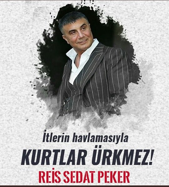 Fetöcü itler size demiştik..
'İtlerin havlamasıyla kurtlar ürkmez!' diye.. Uyuyan kurdu uyandırdınız..!
            Reis Sedat PEKER
 @sedat_peker @mstfrusenonline @yvzayd