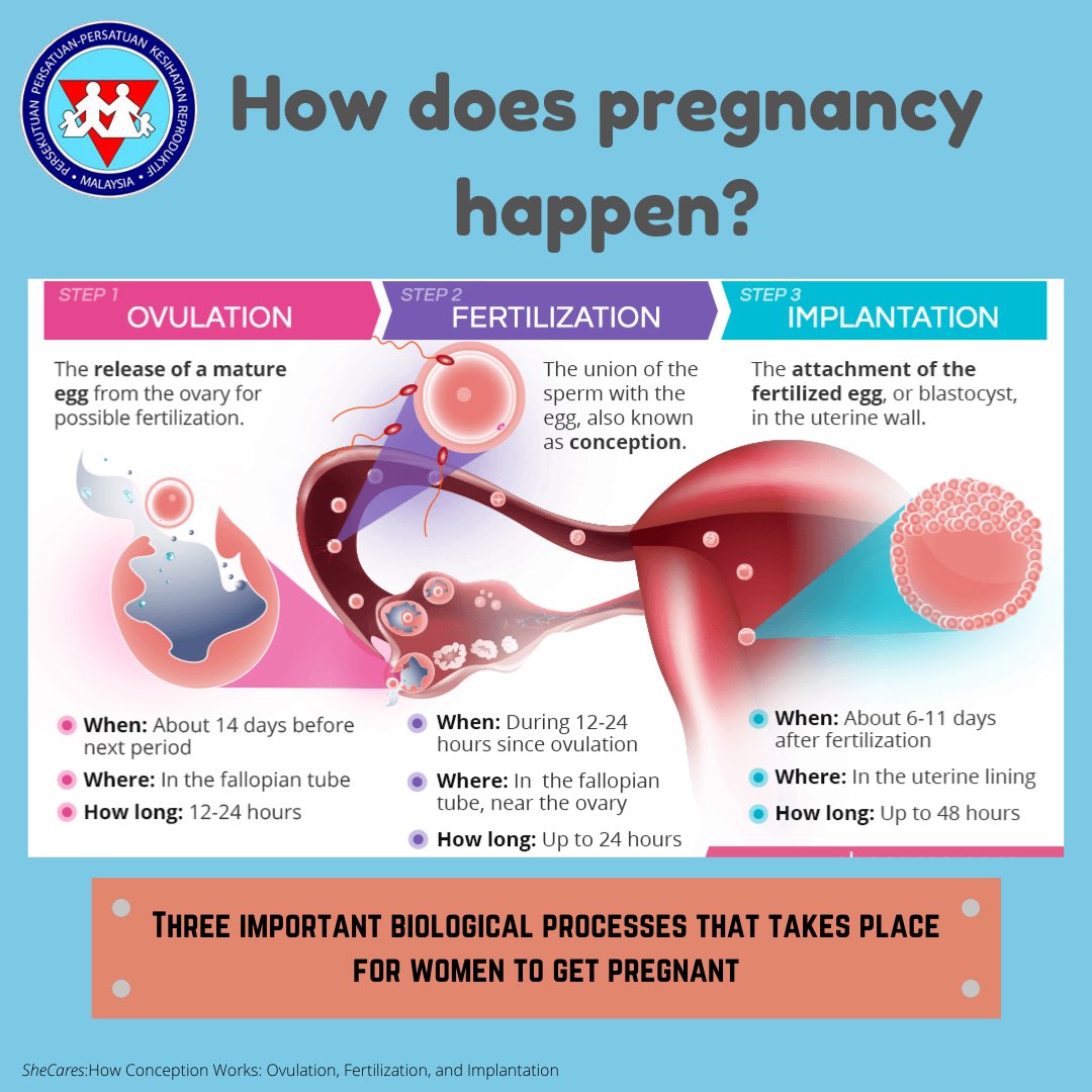 Frham Malaysia On Twitter During The First Trimester The Possibility Of Miscarriage Is At Its Highest Multiple Hormones And Physical Changes Develop Throughout The Trimester You May Notice Some Signs And Symptoms