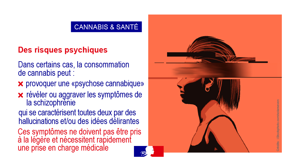 #Prévention | ⚠️ #Cannabis : des risques psychiques

Dans certaines circonstances, la conso de cannabis peut 
❌ déclencher une psychose cannabique 
❌ révéler ou aggraver la schizophrénie

🚑☎️ En cas d’urgence, appelez le 15

+ d'infos et d'aide sur <a href="/DroguesInfo/">Drogues info service</a>