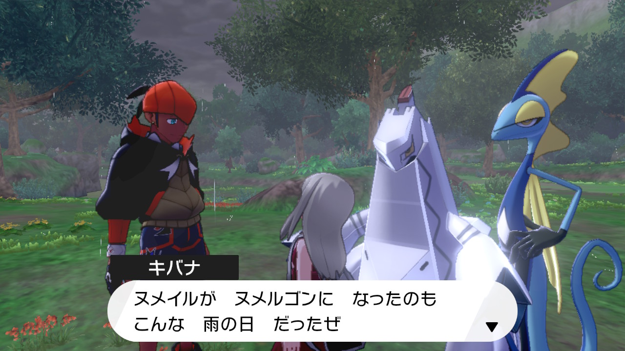 カーニャ 竜王一味 今度は森でお会いした トーナメントであめに変えられた時の台詞 みずも滴る良い男 ヌメルゴンへの進化のヒントも言ってくれた ポケモン剣盾