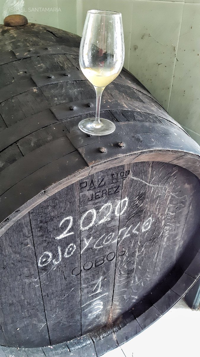 Hay vinos que por su naturaleza, origen y elaboración te atrapan el corazón y los sentidos. 

Intimar con él desde sus primeros pasos, cuando apenas terminó de fermentar, es una experiencia emocionante y reveladora. 

Gracias, <a href="/MAILLO1991/">Miguel Castro Maillo</a>, por el esfuerzo que lo hace posible.