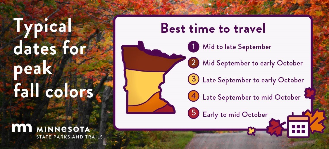 Fall colors are beginning to make their debut, just in time for the first fall color report of the season, out today! 🍂 Sign up to have weekly fall color alerts sent to your email or phone: mndnr.gov/fallcolors #JustAddNature #OnlyInMN