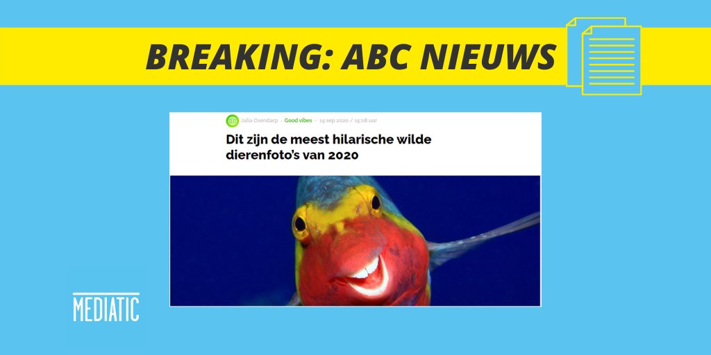 Vandaag in het #ABCNieuws: #strikeapose. Wat is jouw spirit animal van vandaag? metronieuws.nl/in-het-nieuws/… #AllesBehalveCorona #dieren #CWPA #lol