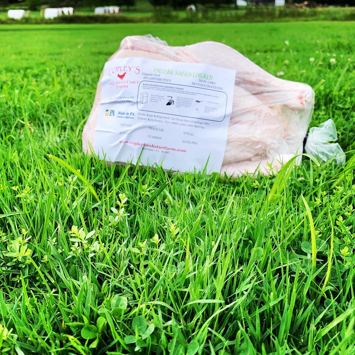 We have frozen whole chickens back in-stock for same day/next day pick up.

If you'd prefer fresh piece cut or whole chickens, we will be processing the weekend of 9-26-2020 and can be sure to keep fresh for pick up.
Order here >>> bit.ly/3iIJtgY