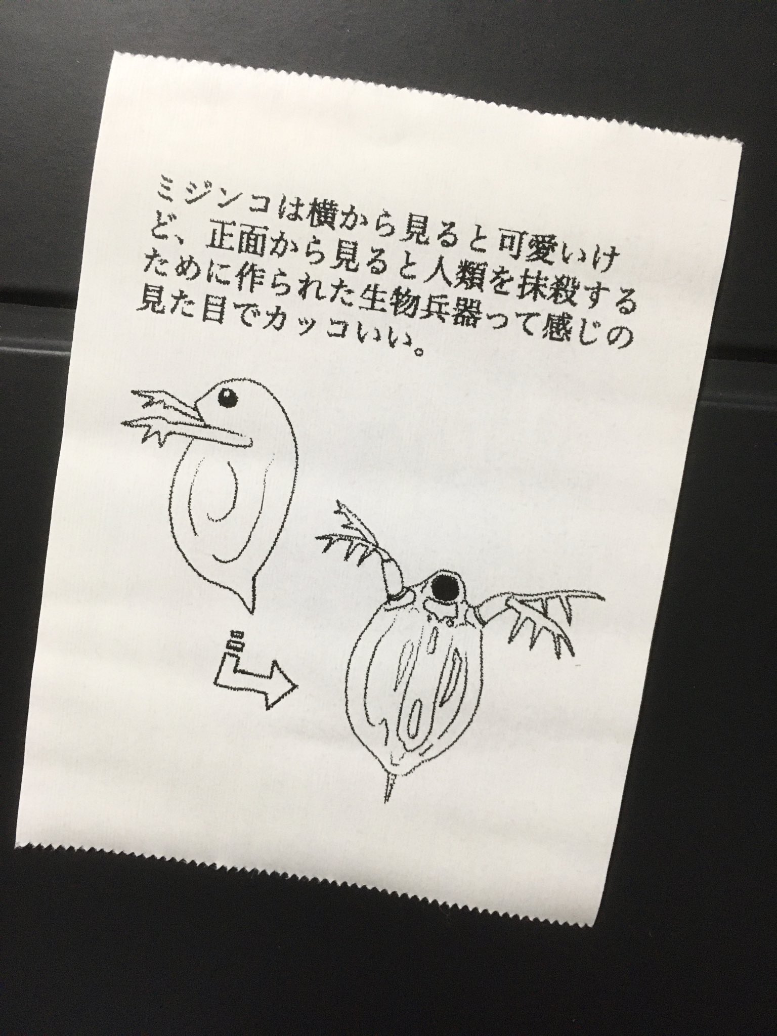 これまでのイメージが変わるかも ミジンコは正面から見ると 話題の画像プラス