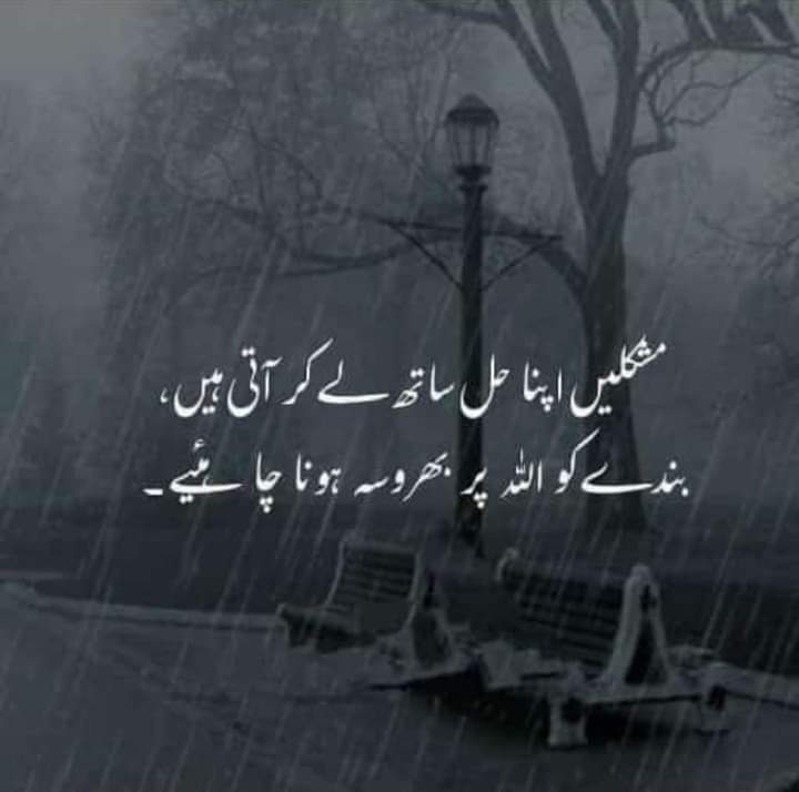 Sayed Yousafzai (@sayedyousafzai6) on Twitter photo 
