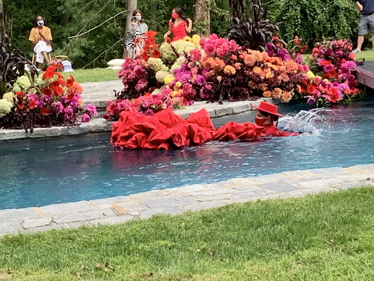 BridgetPFoley tweet media