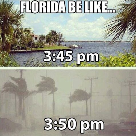 That feeling when you finish recording a big chunk of a book RIGHT before your daily Florida thunder rolls in...
.
#Florida #VoiceActor #VoiceActing #HurricaneSeason #AudioBooks
