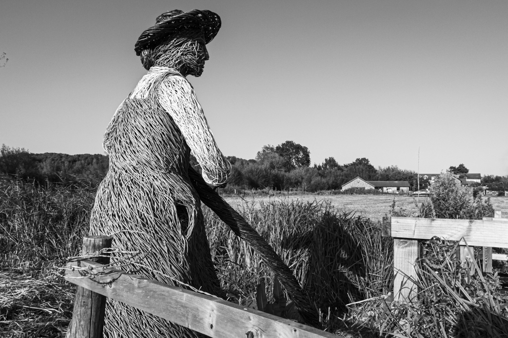 ClickCymru's tweet photo. No.40: 2020"The Brinker", a 9ft high woven willow sculpture of a woman scything the vegetation alongside a reen, installed today at Magor Marsh.  
Image copyright: @nick_treharne 
#Gwentlevels #discovergwentlevels #photooftheday #photography #photographer #willow #sculpture https://t.co/F5ly5ovTAZ