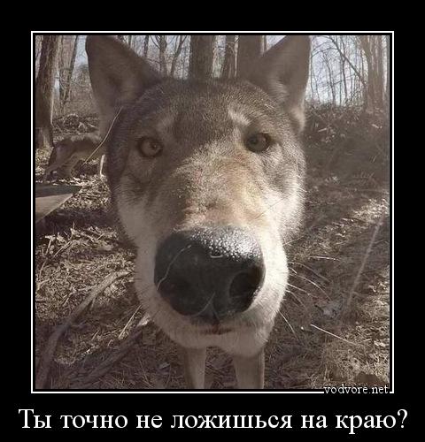 baxxterh2's tweet photo. @NadiaYakimovich https://t.co/CUtxVQxUYH