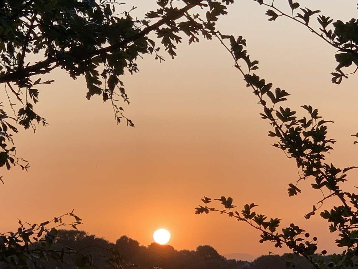 ManelRoura's tweet photo. Sun going down behind the #Breidden Hills tonight. #Telford #Shropshire https://t.co/svX2S2LMvu