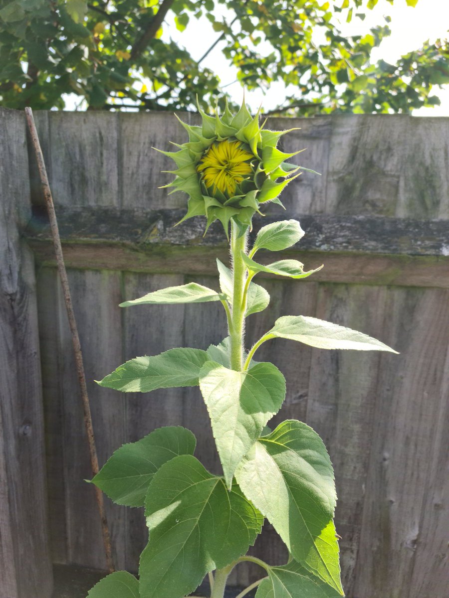 Ekkkkkk <a href="/Haddon_Primary/">Haddon School</a>