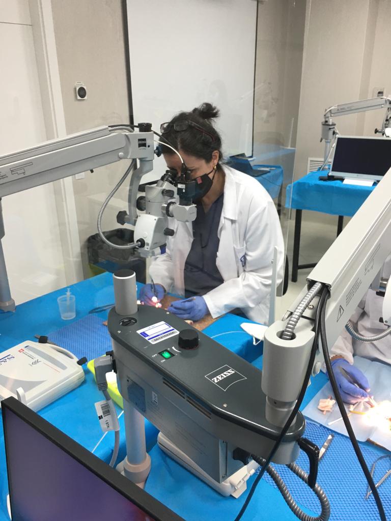 MicrocirugiaUFV's tweet photo. Poco a poco y con mucha precaución retomando la normalidad en nuestro centro @MicrocirugiaUFV, @newsmedicinaufv, @PostgradoMedUFV, @ufvmadrid

VIII CURSO DE MICROCIRUGÍA VASCULO-NERVIOSA EN ANIMAL VIVO. Gracias  por la confianza en nuestro programa universitario en Microcirugía . https://t.co/NEJ3WPIHwI